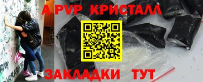 стафф Бердск