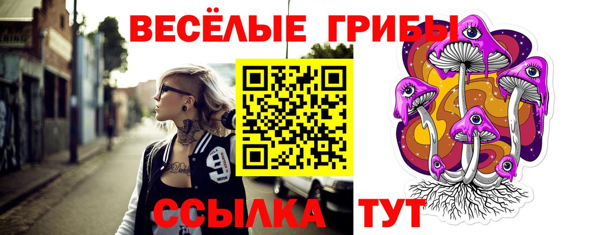 Галлюциногенные грибы Cubensis Астрахань